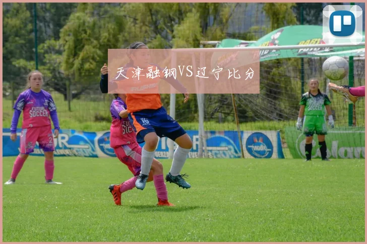 天津融钢VS辽宁比分